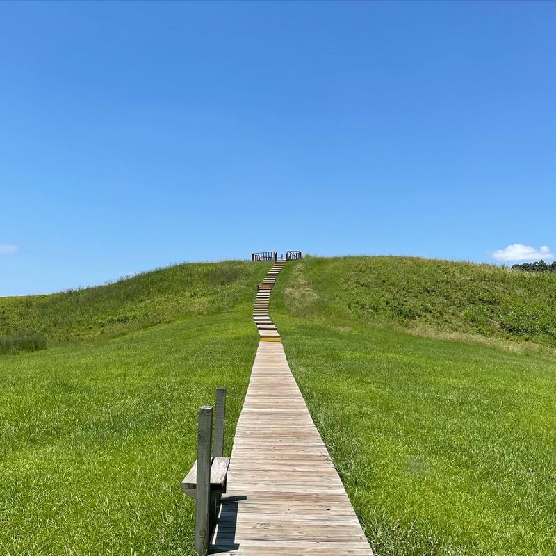 Poverty Point World Heritage Site