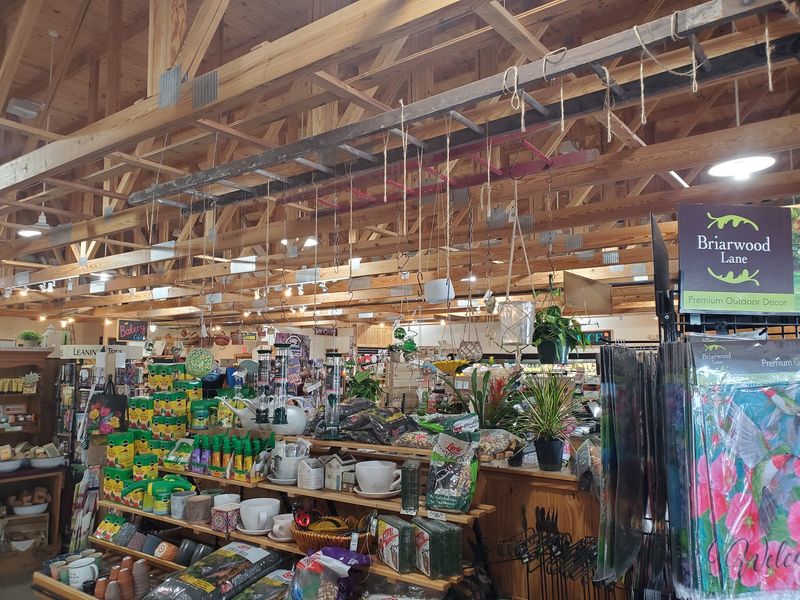 Gift Shelves and a Toy Train Overhead