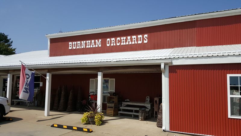 Fritters, Donuts, And Pies Worth The Detour