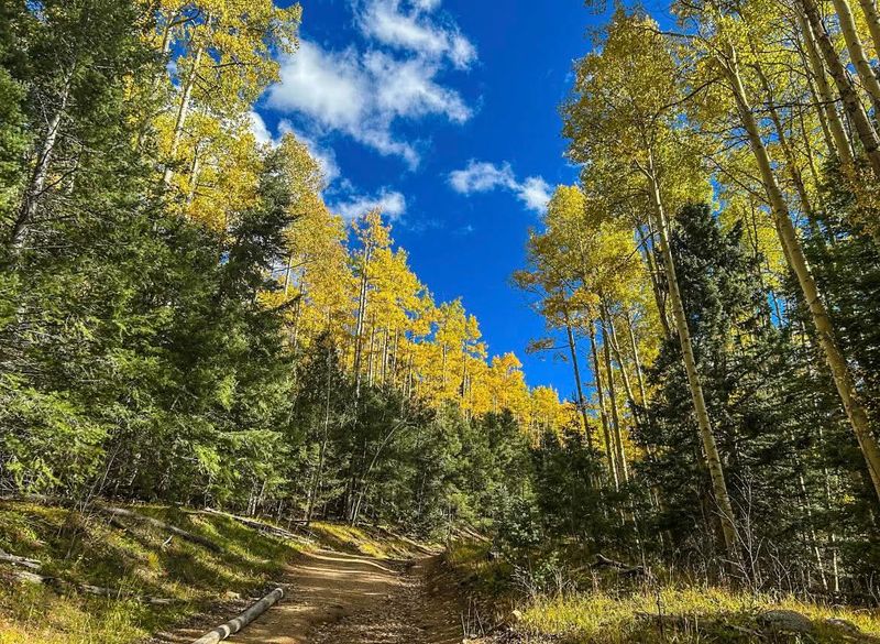Aspen Vista Trail, Santa Fe