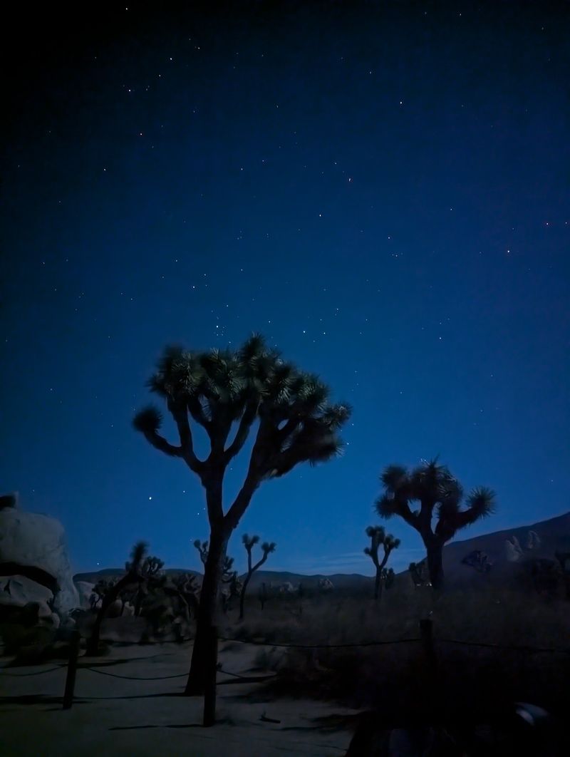 After Dark, The Sky Steals The Whole Show