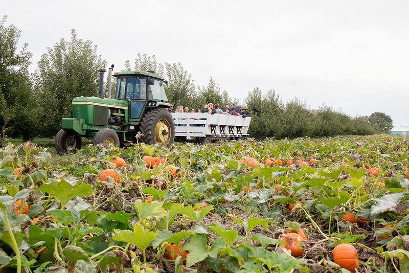 Deal's Orchard, Jefferson