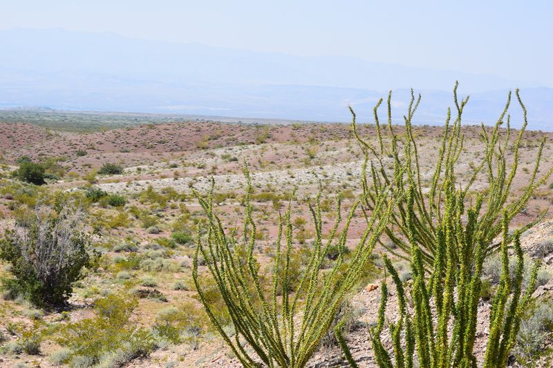 Sweeping Views Above The Rio Grande Valley