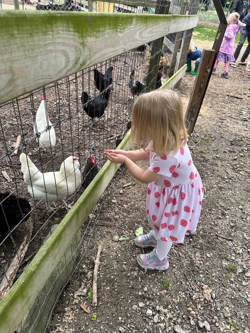 Sugar Roots Farm’s Seasonal Gathering