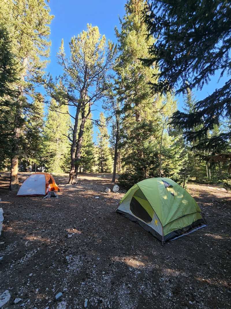 Claim A Campsite Before Summer Fills Them Up