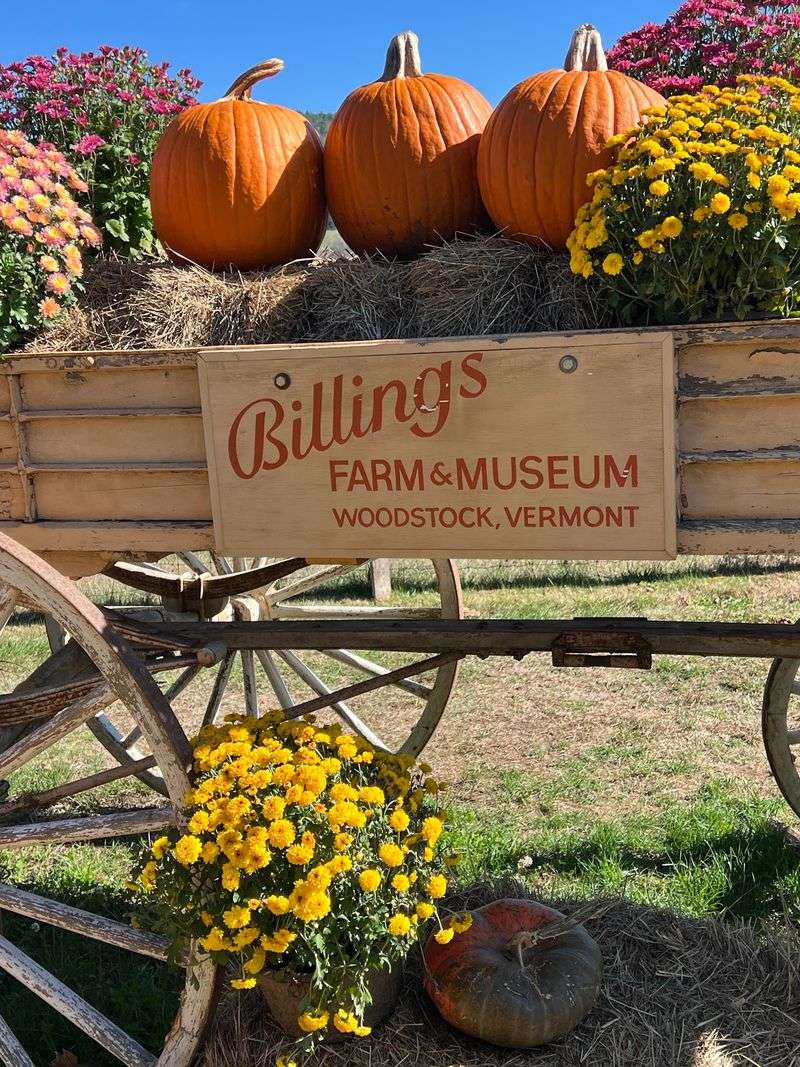 Where To Snap Your Best Fall Photos