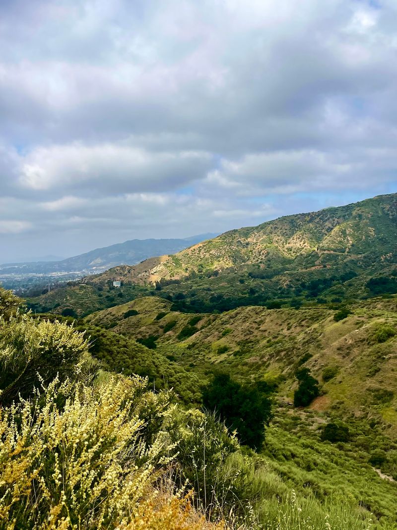 Wilson State Park