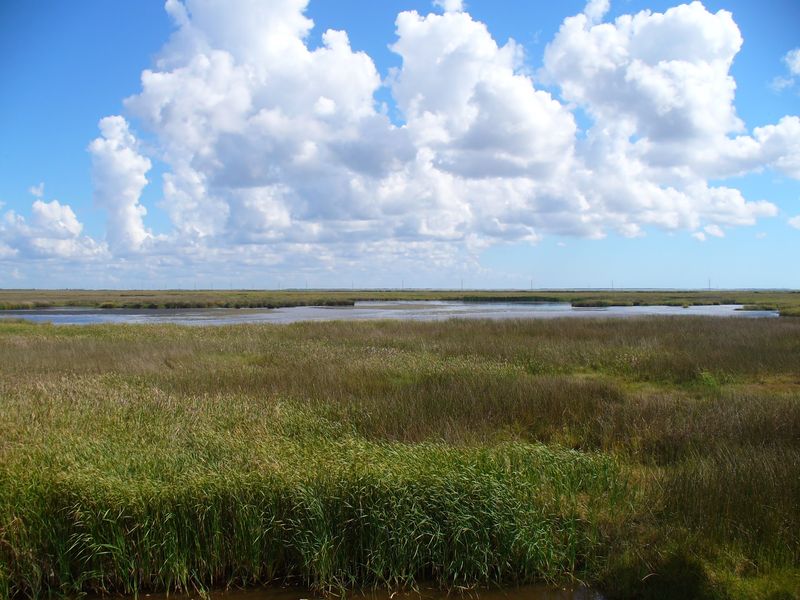 Sabine National Wildlife Refuge