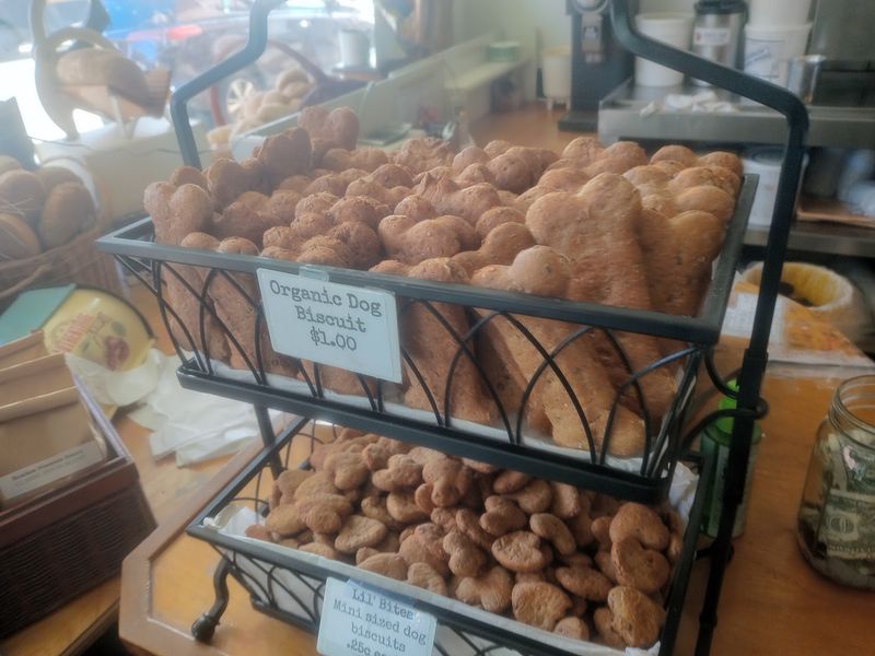 Coffee, Oat Milk, and Dog Biscuits