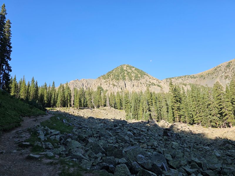Williams Lake Trail