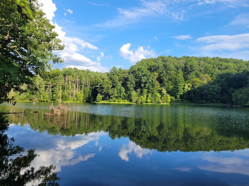 Greenbo Lake State Resort Park