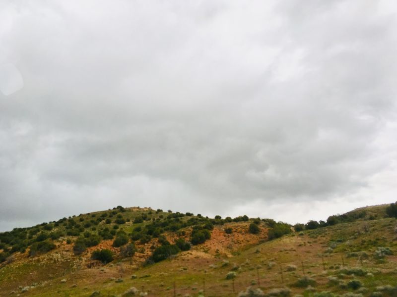 Oak City Foothills, Millard County
