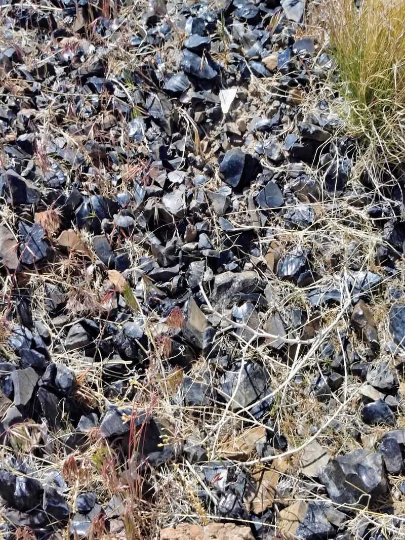 Black Spring Rewards A Careful Look At Loose Fragments