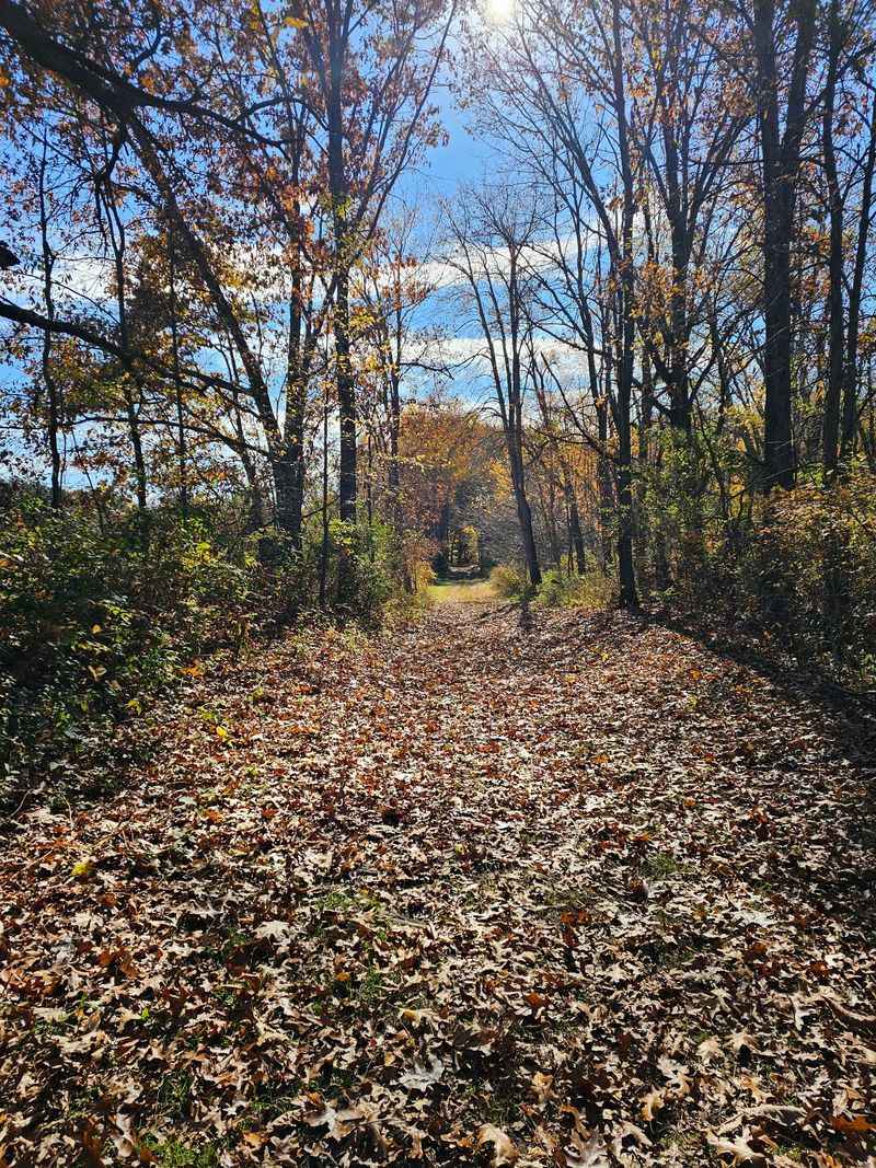 Seven Gables Road