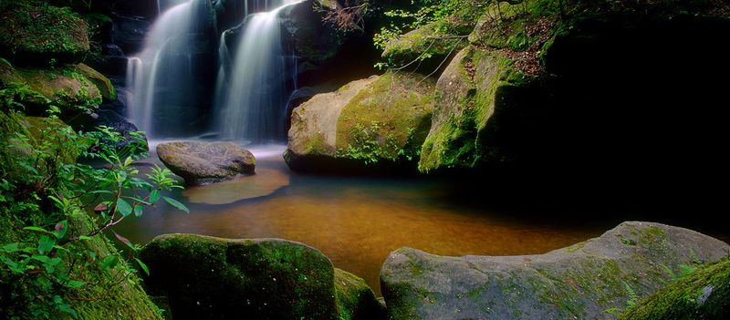 After Dark Dismalites Glow Along The Canyon Walls
