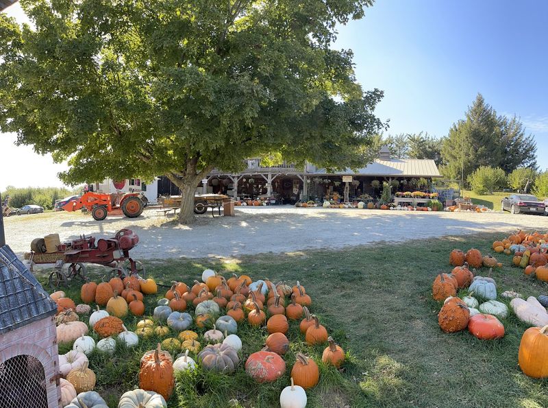 Appleberry Farm, Marshalltown