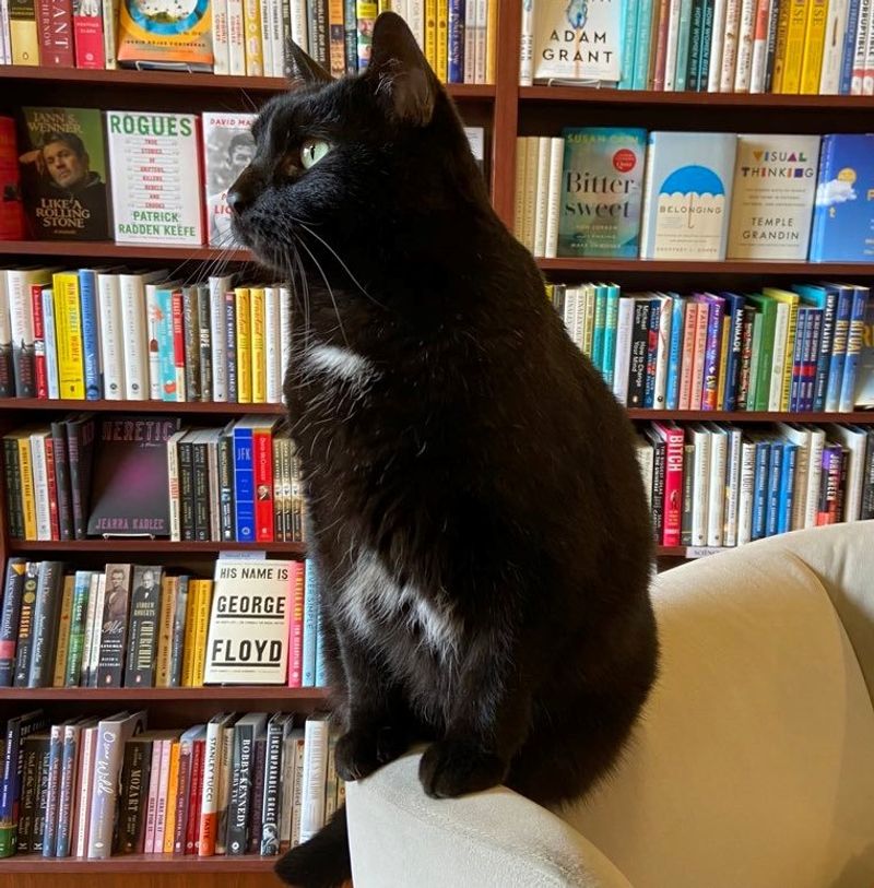Next Page Books of Cedar Rapids