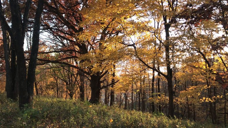 Lake Macbride State Park, Solon