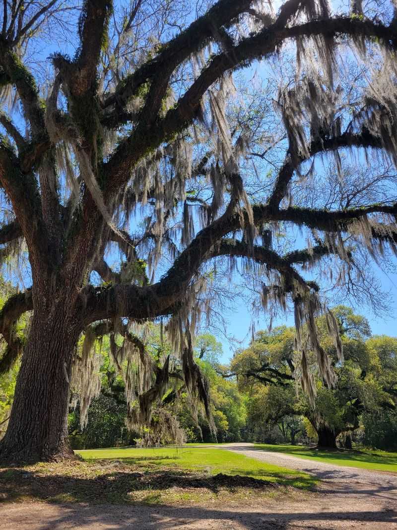 Plan A Day Around This Spot In St. Francisville