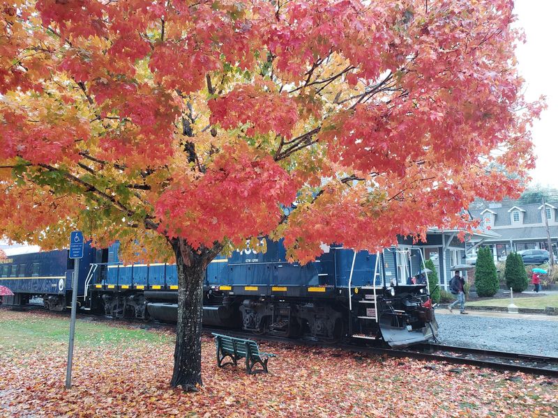 The Scenic Railway Follows The Toccoa River