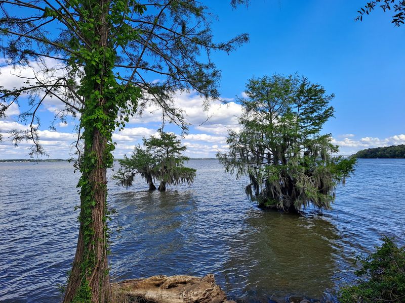 Santee State Park