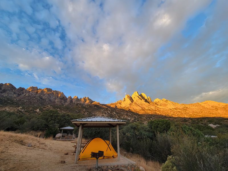 Aguirre Spring Recreation Area, Organ