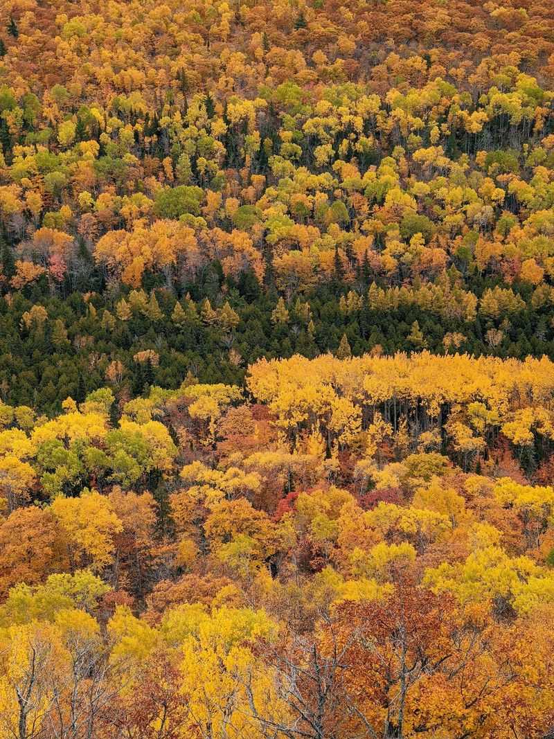 Brockway Mountain Opens The View Above The Trees