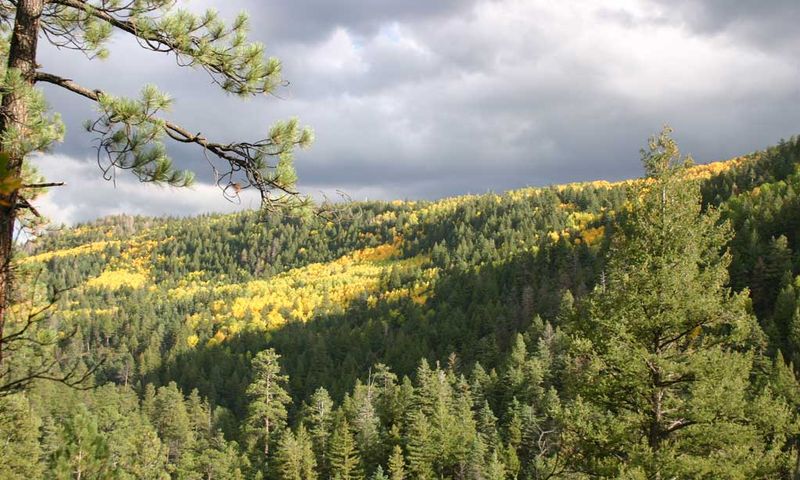 Beyond The Porch, Nothing But Wilderness