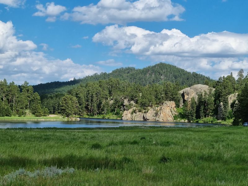 Prairie And Pine Hills Shape The 71,000-Acre Park