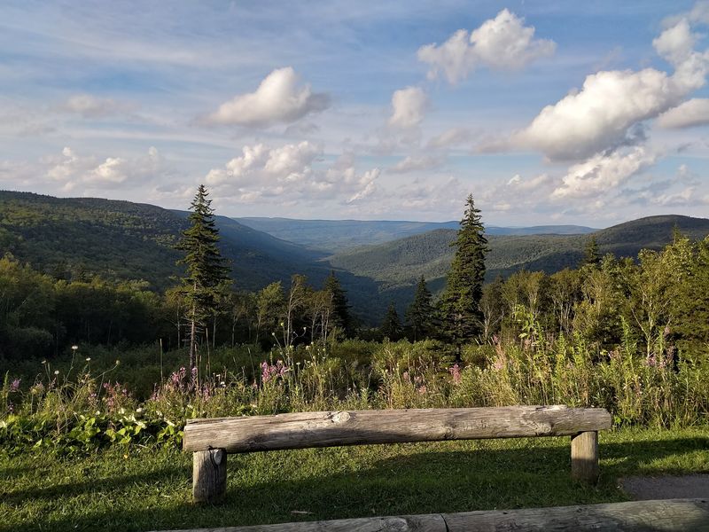 Williams River Valley Overlook
