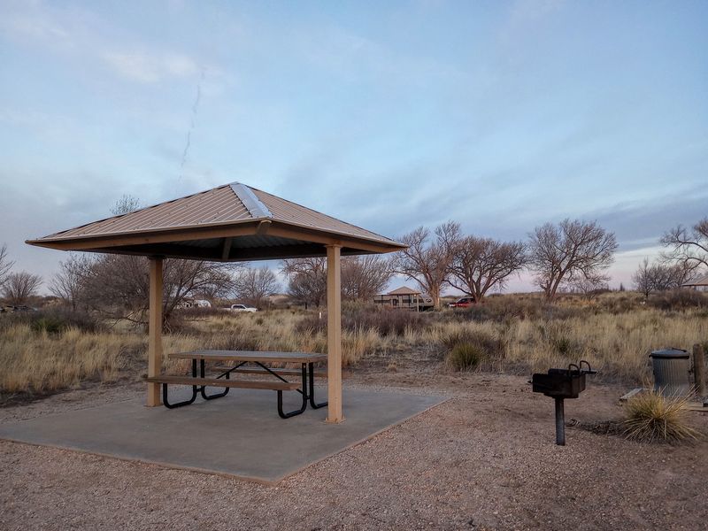Campsites Come With Shade, And That Matters Out Here
