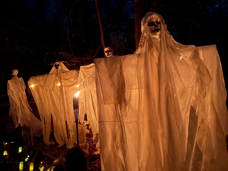 Haunted Woods