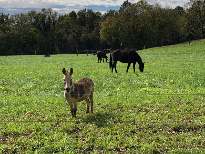 Seven City Parks Add More Outdoor Options