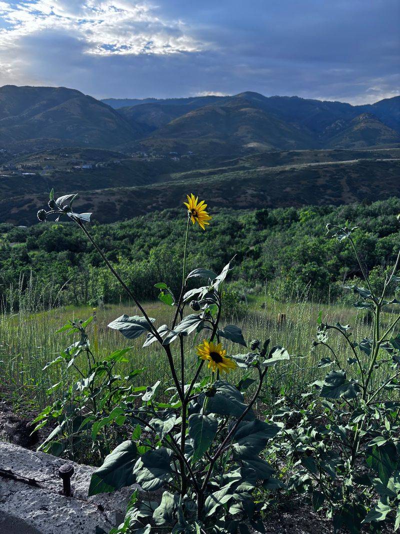 Emigration Canyon, Salt Lake County
