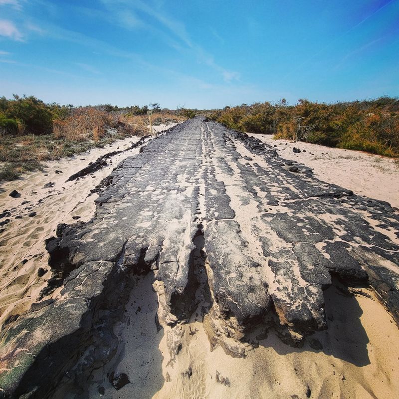 The Barrier Island Is Constantly Being Reshaped By Nature