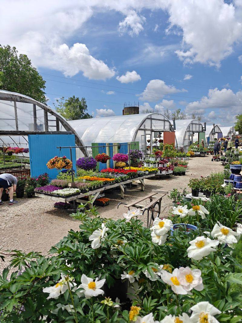 Mark Your Calendar Because This Farm Keeps Seasonal Hours