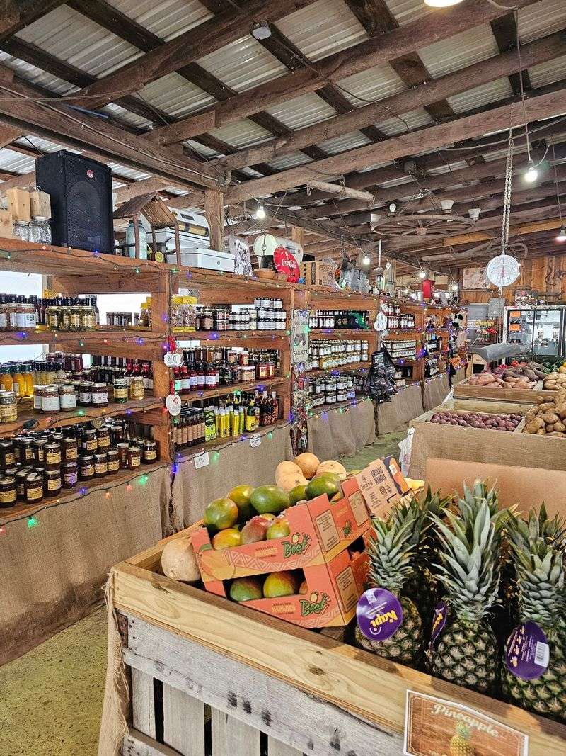 Darnell Farms, Bryson City, NC