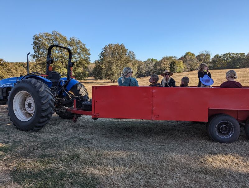 Wagon Rides Head Out Through The Hay Meadow
