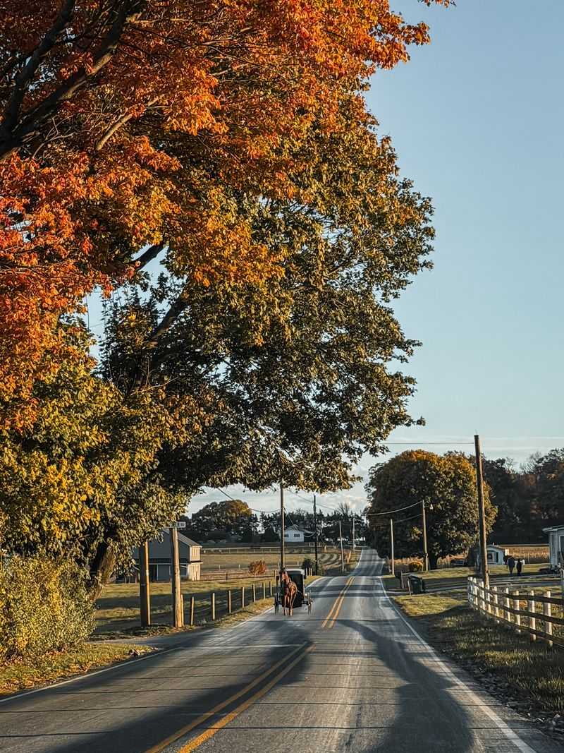 The Scenic Drive Counts As The Appetizer