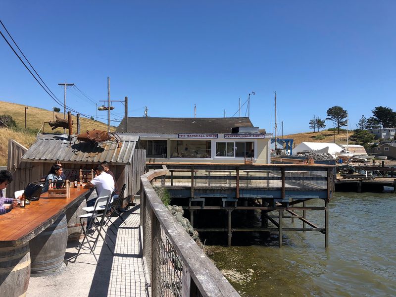 A Weathered Shack on the Shore of Tomales Bay