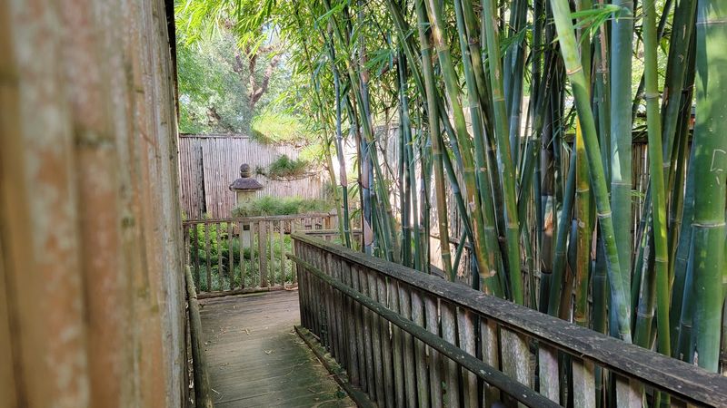 Victory Avenue Gets You To The Garden Gate