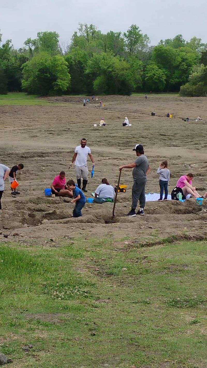 Thousands Of Lucky Finds Over The Years