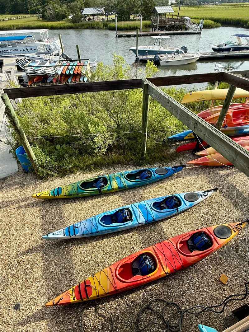 Coastal Expeditions Has Guided Lowcountry Trips Since 1992