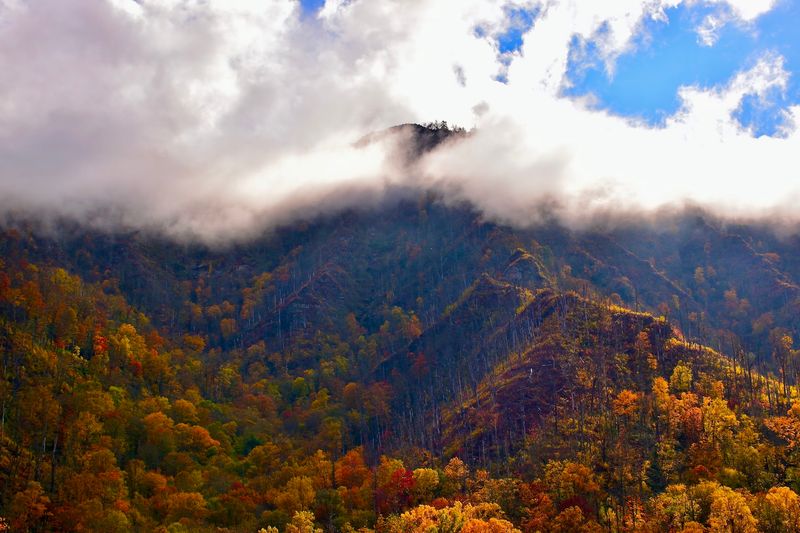 Fall Color Moves Down The Mountains