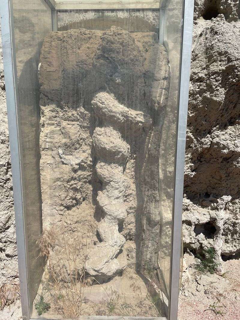 Agate Fossil Beds National Monument