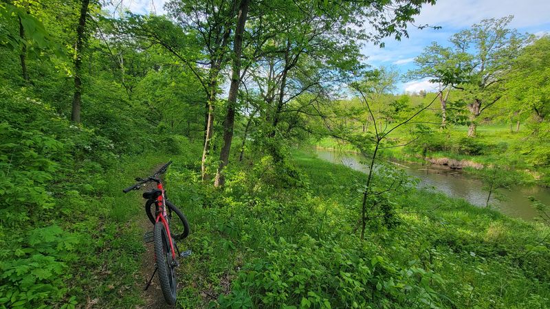 Mountain Bikers Get Their Own Twisty Playground