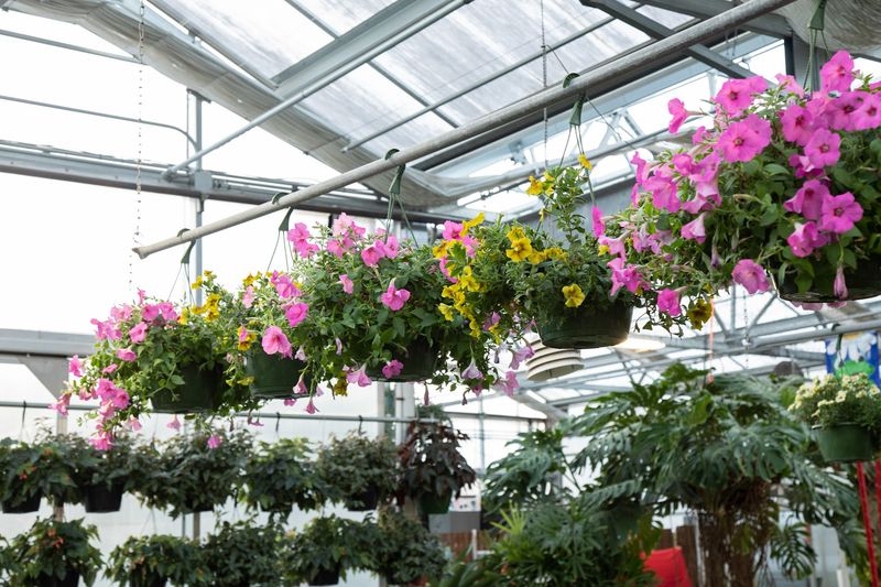 Free Seminars Turn Curious Beginners Into Confident Growers