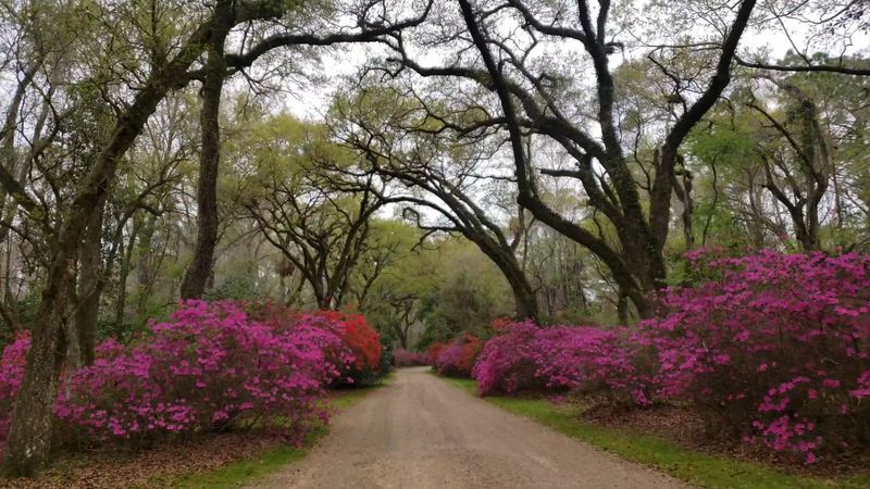 Spring Turns Up The Color Like Nobody's Business