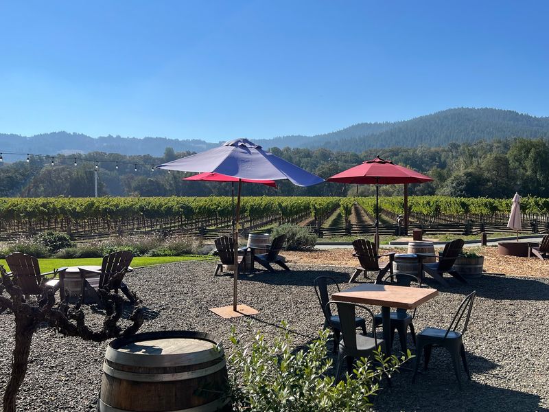 Patio Tables, Lawn Seats, and Vineyard Views