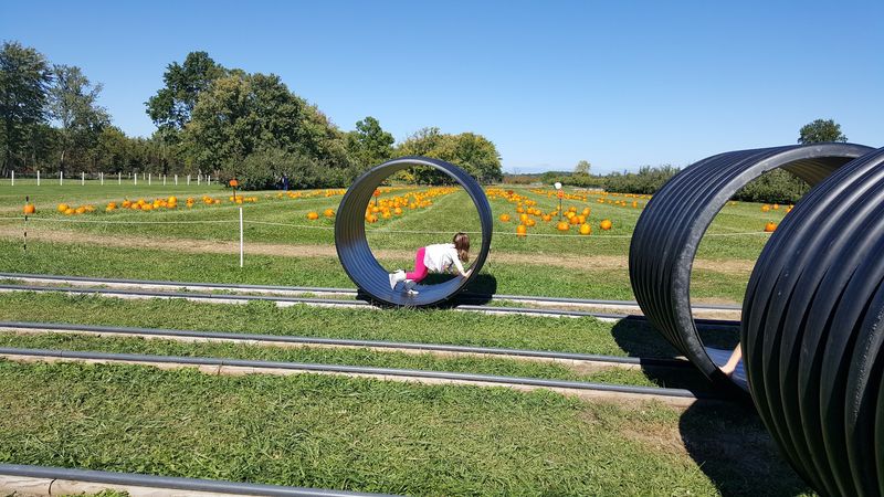 Two Corn Mazes, A Hayride, And A Slide Called The Pumpkin Plunge